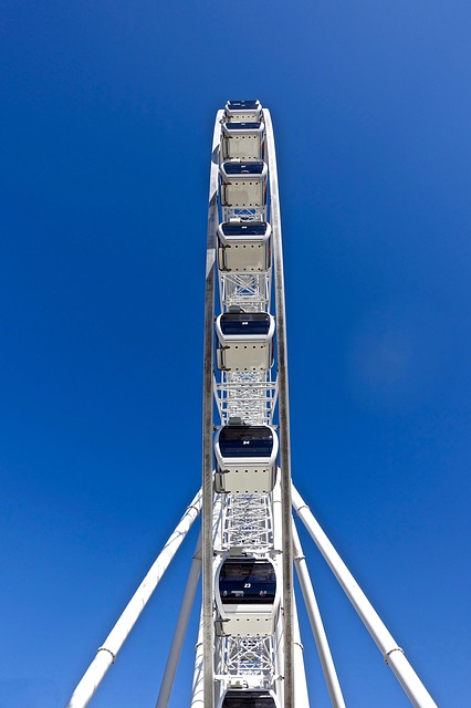 ferris-wheel-983273_640