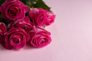 bunch of fresh roses with gentle petals for event